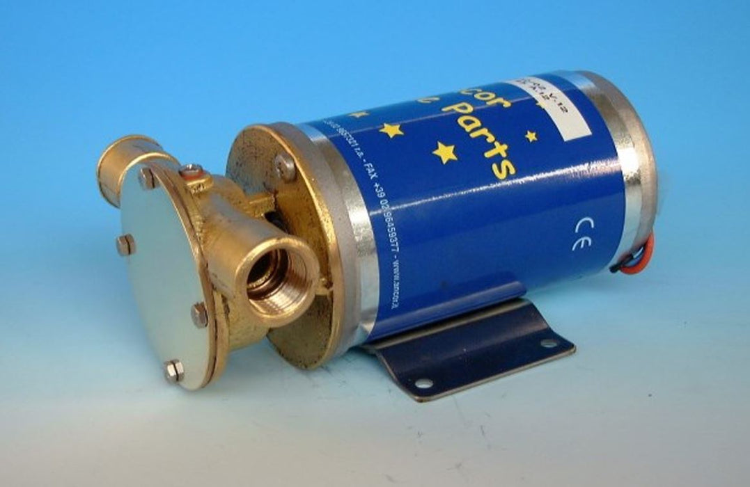 12V, Multi-Use Pump 45 LPM (EP 45 - AN 696)
