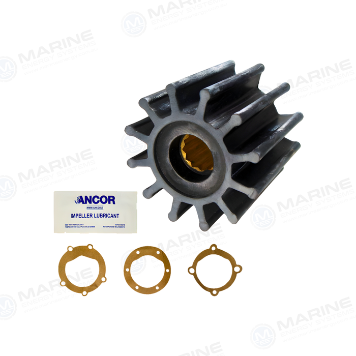 AN 2789 Replaces Jabsco Impeller 22120-0001, 18777-0001-P 834794