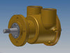 AN 6687 Replaces  KOHLER ED0065845590 (28-40 EFKOZD, 45-65 EFOZDJ)  Raw water Pump