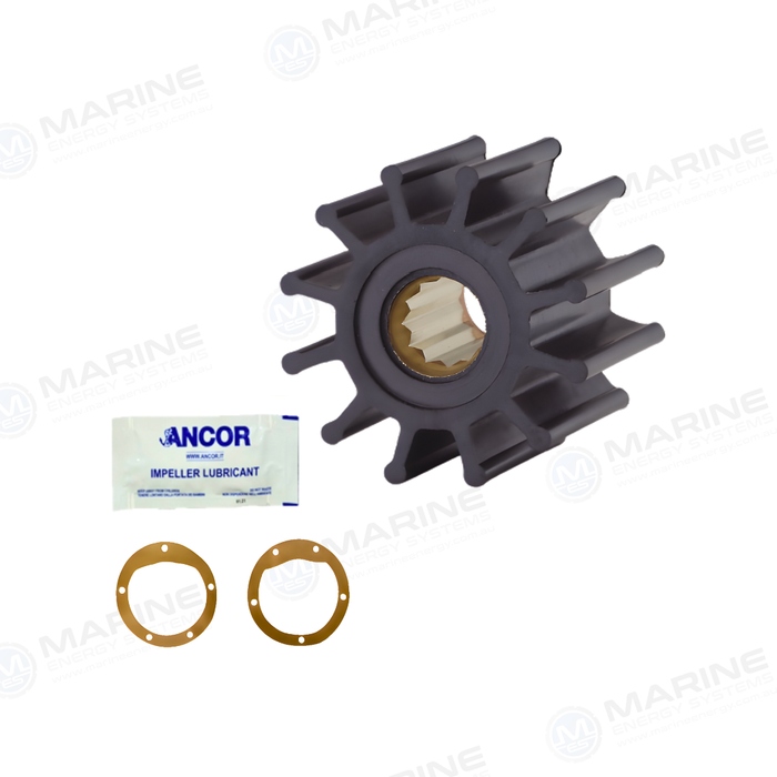 AN 2053 Replaces-Johnson 09-819B /Jabsco 17935-0001 Volvo Penta 21951362/CAT 3208/ 3160