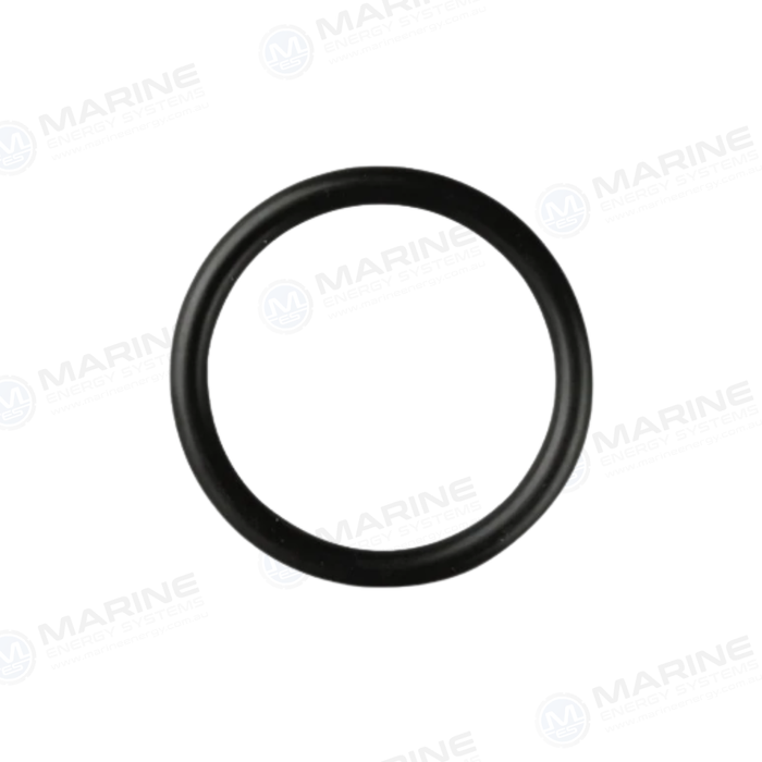 Oring (Seawater Pump Mount) JMP ORG0056