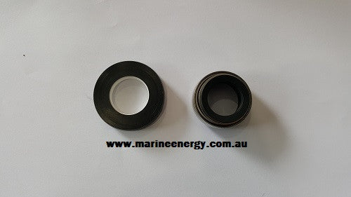 Johnson 0.2247.008 Mechanical Seal Replacement AN 747