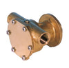 Paguro 6000-18000 / Lombardini Seawater Pump Replacement Ancor 4393 F4B-9, 10-35098-04