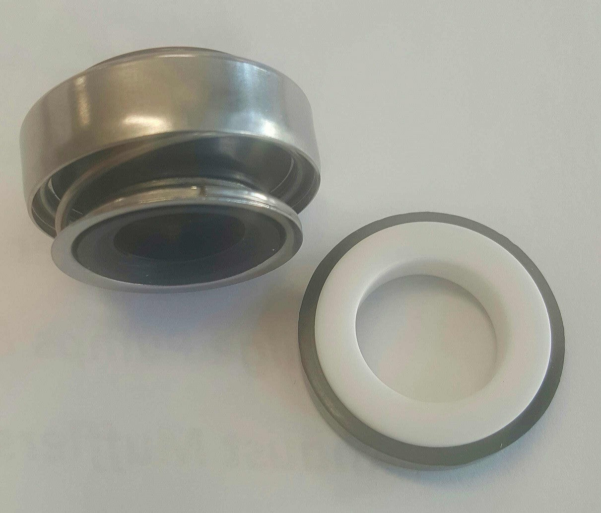 Johnson Mechanical Seal Replacement AN 6190